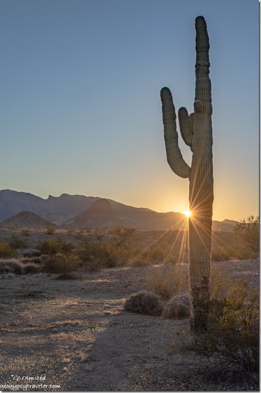 Saguaro cactus desert sunset sunburst Dome Rock BLM Quartzsite Arizona