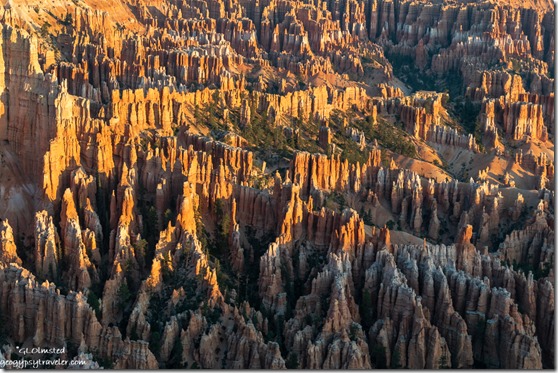 hoodoos first light Bryce Point Bryce Point Bryce Canyon National Park Utah