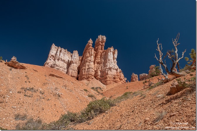 hoodoos on hill trees Queen's Garden Trail Bryce Canyon National Park Utah