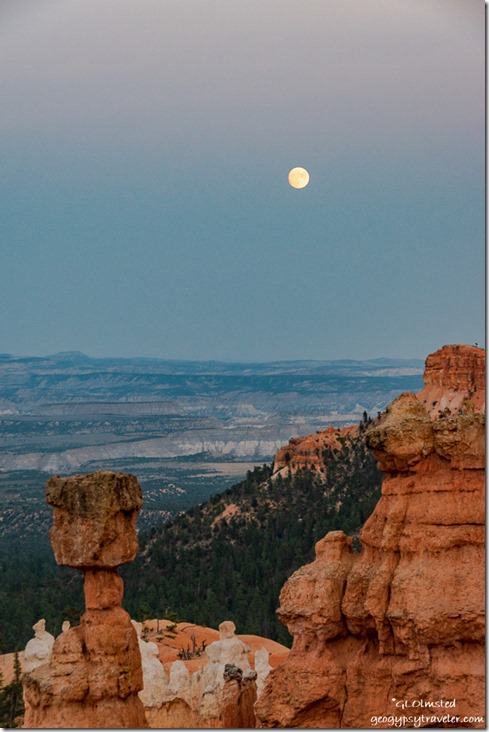 Thors Hammer hoodoos trees valley almost full moon Navajo Loop Trail Bryce Canyon National Park Utah