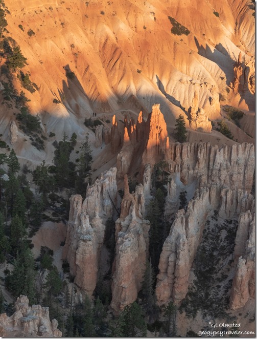 first light hoodoos shadows trees Bryce Point Bryce Point Bryce Canyon National Park Utah
