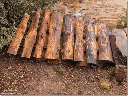 Fallen female fence Yarnell Arizona