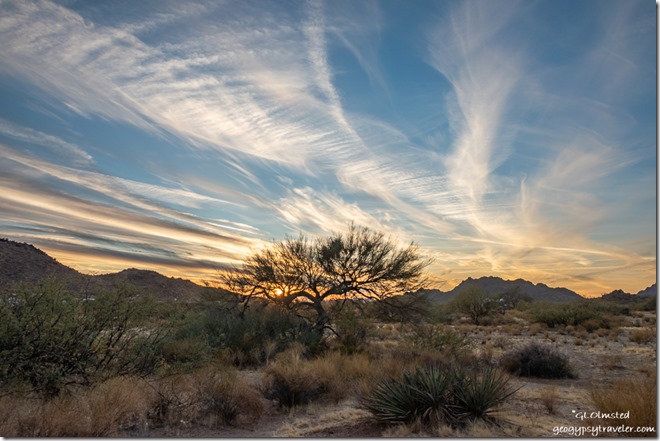 desert Palo Verde tree mountains sunset clouds Ghost Town Road BLM Congress Arizona