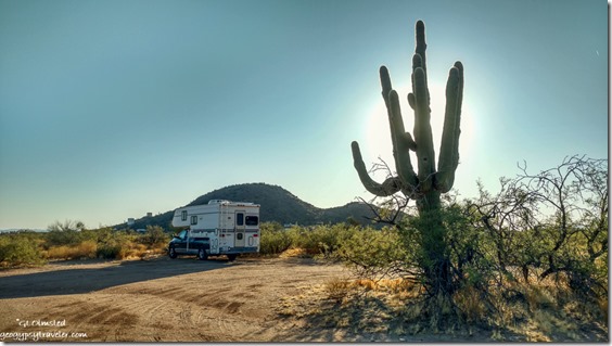 Saguaro cactus truck camper Ghost Town Road Congress Arizona