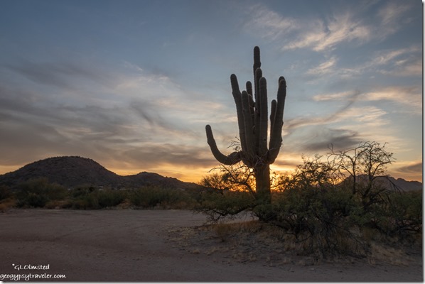 Saguaro cactus mountains sunset clouds Ghost Town Road Congress Arizona