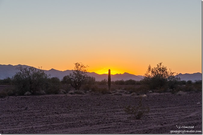 Saguaro sunset over Dome Rock Mountains Bouse-Quartzsite Road BLM Arizona
