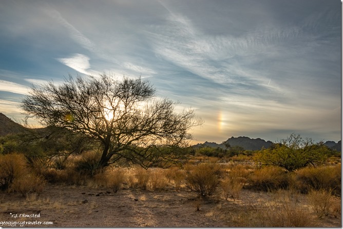 tree desert mountains sundog clouds sunset BLM Ghost Town Road Congress Arizona