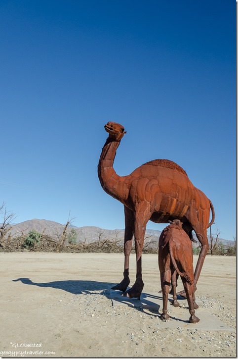 Camel metal sculpture by Ricardo Breceda Galleta Meadows Borrego Springs California