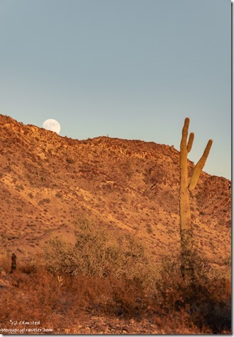 Saguaro cactus mountain moon rise Plomosa Road BLM Bouse Arizona