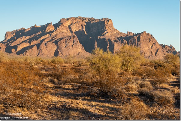 desert Kofa Mountains BLM Arizona