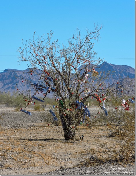 Mesquite decorated Christmas tree Roadrunner BLM Quartzsite Arizona
