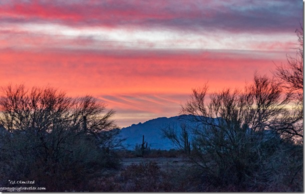 trees mountain sunrise clouds Roadrunner BLM Quartzsite Arizona