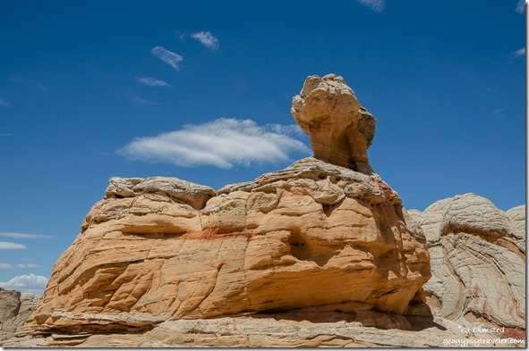 Toadstool White Pocket Vermilion Cliffs National Monument Arizona