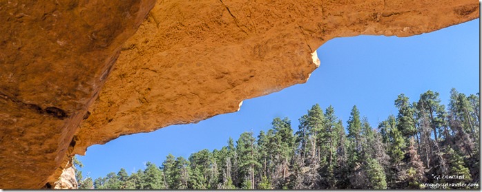 Overhang along Cliff Spring trail North Rim Grand Canyon National Park Arizona