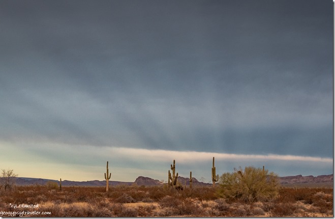 Saguaro cactus desert mts clouds anticrepuscular rays Palm Canyon Rd BLM Kofa NWR AZ