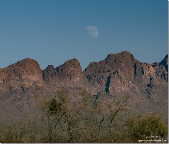 desert Kofa Mts moon Palm Canyon Rd BLM Kofa NWR AZ