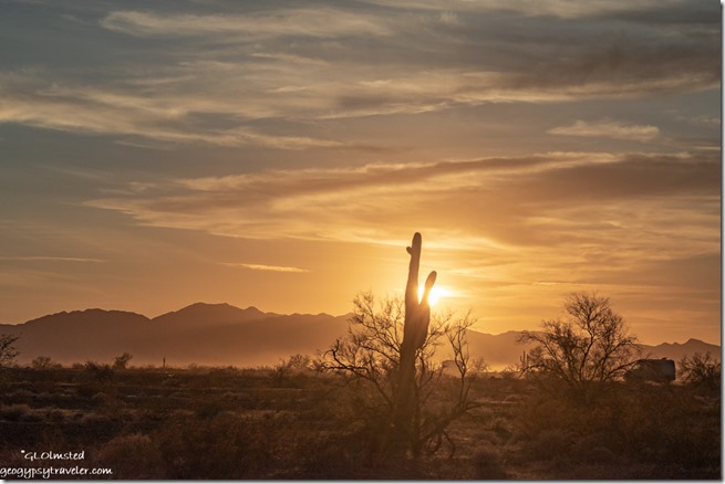 Saguaro desert mts sunset clouds Plomosa Rd BLM Quartzsite AZ