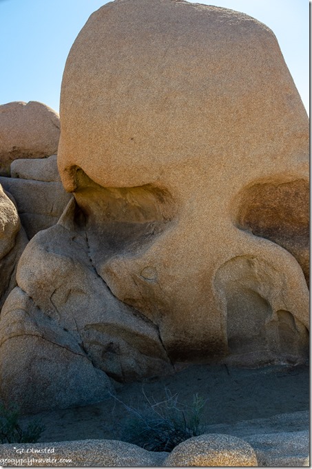 Skull rock Joshua Tree National Park California