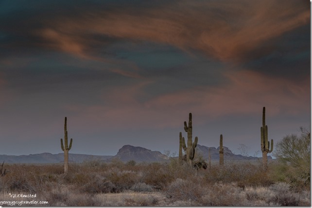 Saguaro cactus desert New Water Mts sunset clouds Palm Canyon Rd BLM Kofa National Wildlife Refuge Arizona