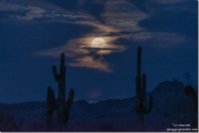 Saguaro desert mts full moon clouds Palm Canyon Rd BLM Kofa National Wildlife Refuge Arizona