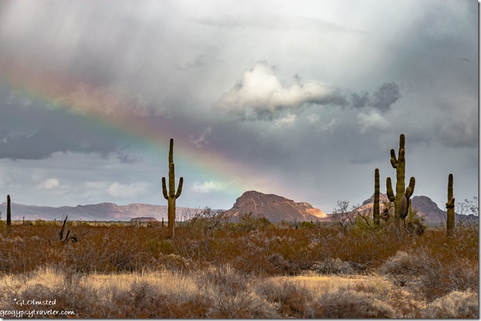 desert mts rainbow clouds Palm Canyon Rd BLM Kofa National Wildlife Refuge Arizona