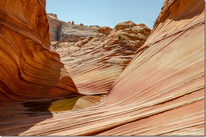 Water pool below The Wave Paria Canyon-Vermilion Cliffs Wilderness Arizona