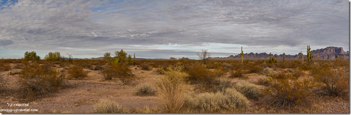 desert mountains clouds Palm Canyon Road BLM Kofa NWR Arizona