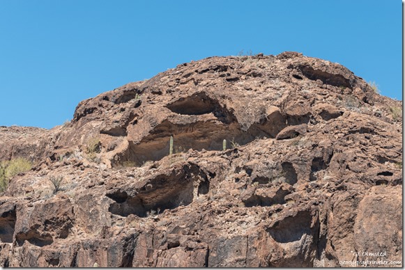 holes in rock Saguaro cactus MST&T Rd Kofa National Wildlife Refuge Arizona