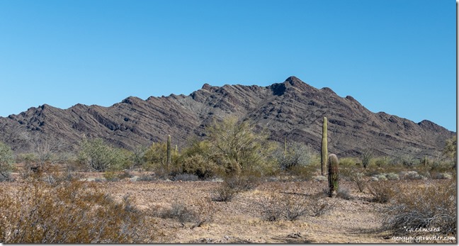 Sonoran desert New Water Mts MST&T Rd BLM Kofa National Wildlife Refuge Arizona
