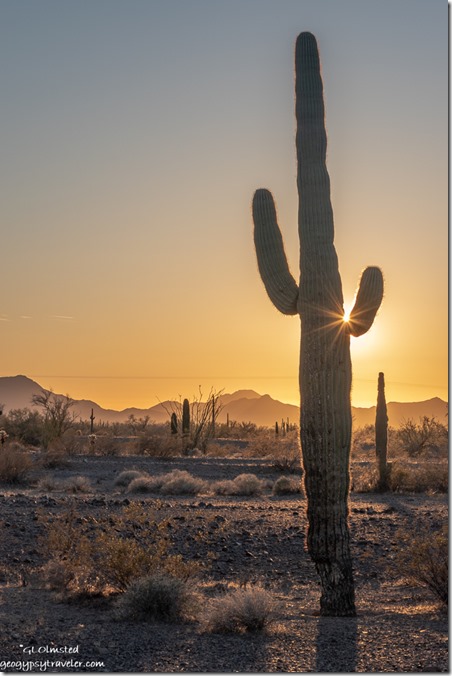 Saguaro cactus desert Chocolate Mts sunset sun burst MST&T Rd BLM Kofa National Wildlife Refuge Arizona