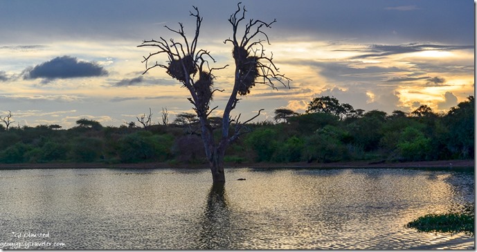 Sunset at Sunset dam Kruger National Park South Africa