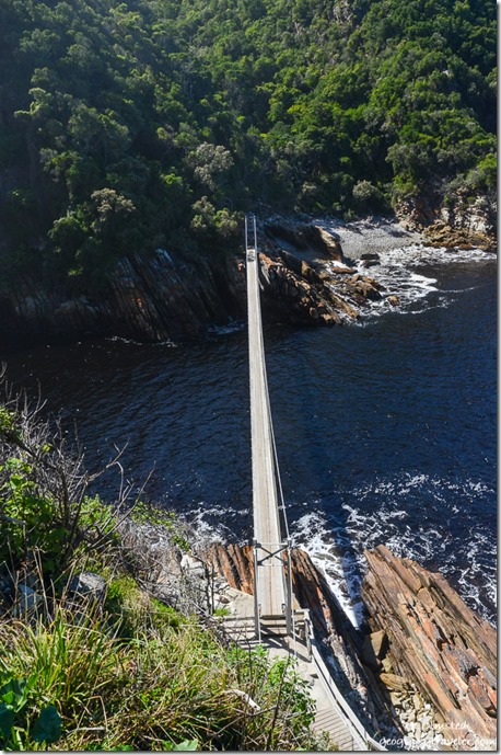 Suspension Bridge trail Tsitsikamma National Park South Africa