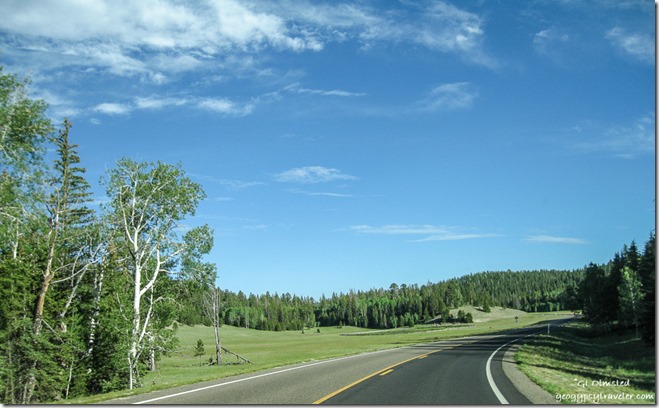 Meadows Hwy 67 S Kaibab National Forest Arizona