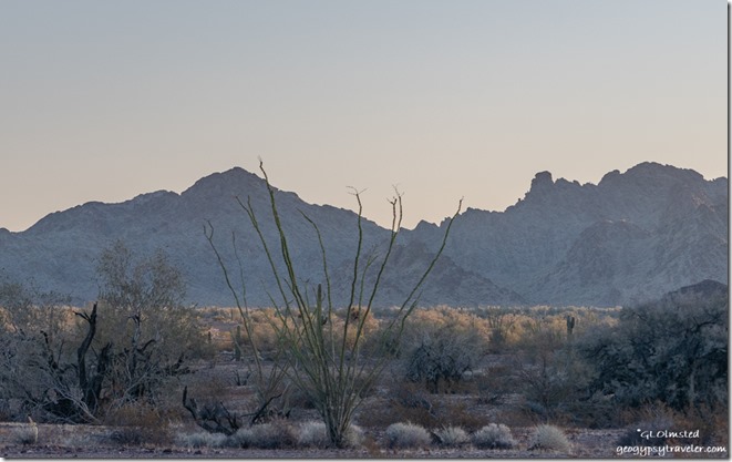 desert New Water Mts first light MST&T Rd BLM Kofa National Wildlife Refuge Arizona