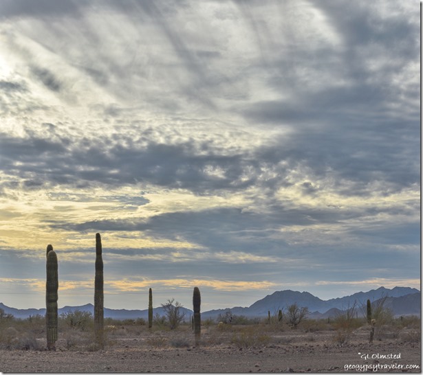 Sonoran Desert Chocolate Mts sunset clouds MST&T Rd BLM Kofa National Wildlife Refuge Arizona