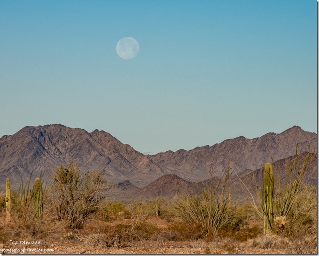 Sonoran desert Chocolate Mts full moon set MST&T Rd BLM Kofa National Wildlife Refuge Arizona