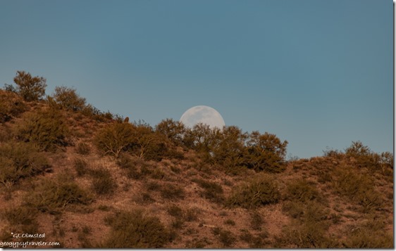desert hillside moon Vulture Mine Rd Wickenburg Arizona