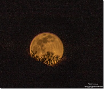 full moon Vulture Pk Rd BLM Wickenburg Arizona