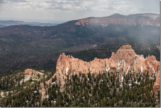 trees snow Pink Cliffs low clouds Piracy Point Farview overlook Bryce Canyon National Park Utah