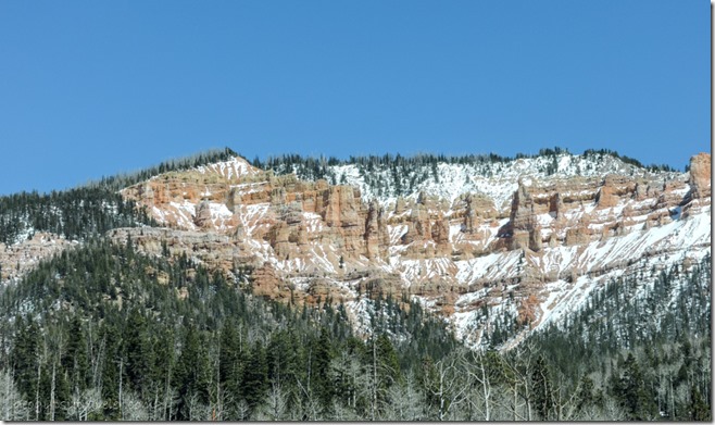 trees snow Pink Cliffs SR14 E Utah