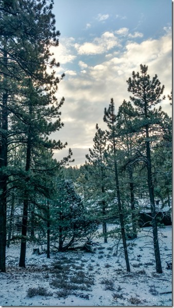 trees snow clouds from RV door Bryce Canyon National Park Utah