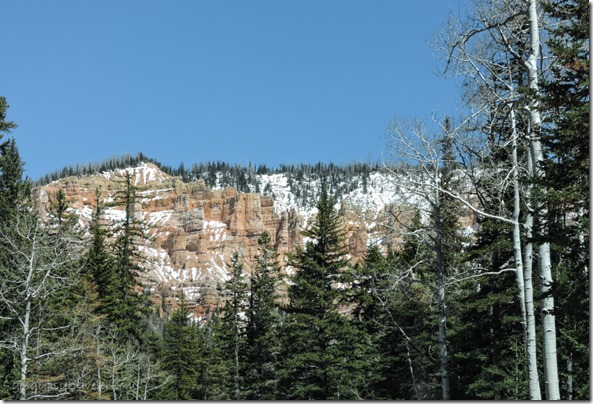 trees snow Pink Cliffs SR14 East Utah