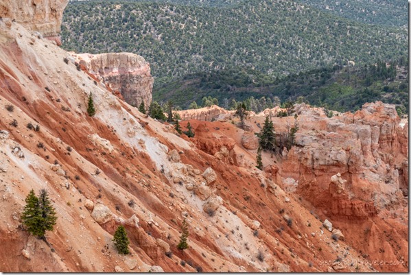 Pink Cliffs valley trees Yovimpa Pt Bryce Canyon National Park Utah