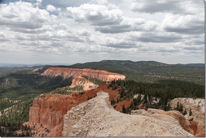 Pink Cliffs trees clouds Yovimpa Point Bryce Canyon National Park Utah