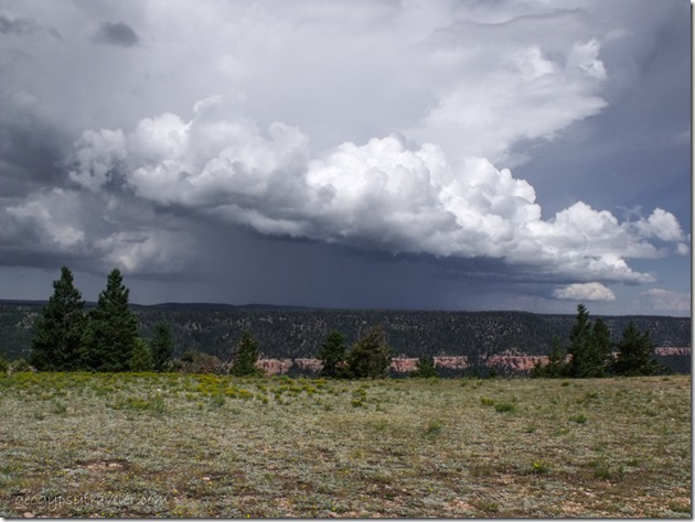 Storm over East Rim from Marble View Kaibab National Forest Arizona