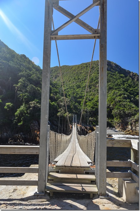 Suspension Bridge trail Tsitsikamma National Park South Africa