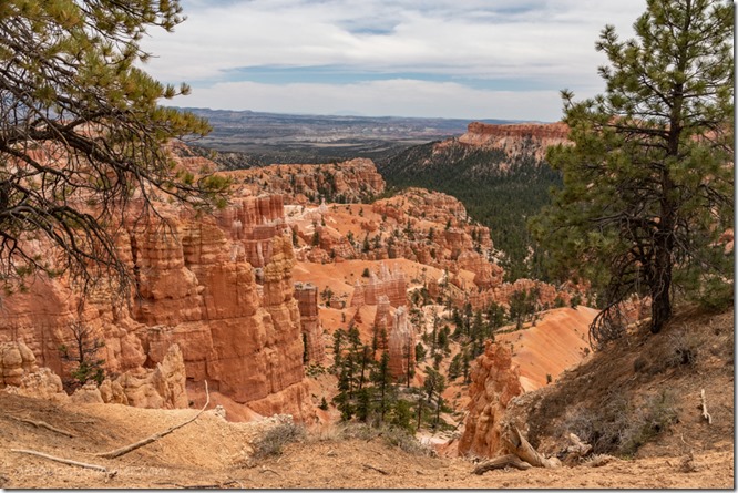 trees hoodoos amphitheater clouds from rim trail Bryce Canyon National Park Utah