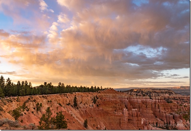 Pink Cliffs trees sunset clouds Bryce Canyon National Park Utah