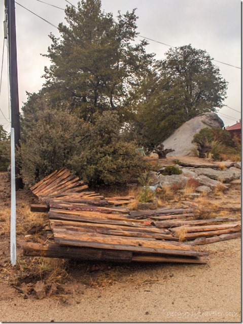Fallen female fence Yarnell Arizona