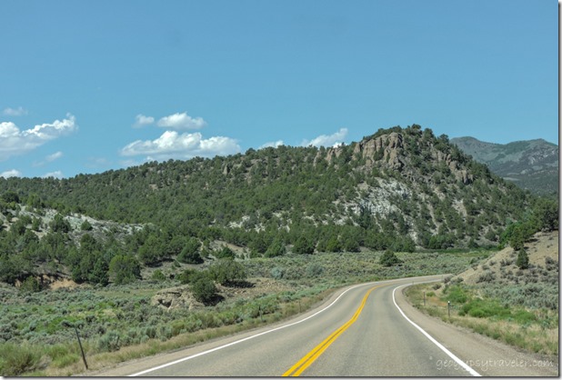trees cliff SR20 West Utah